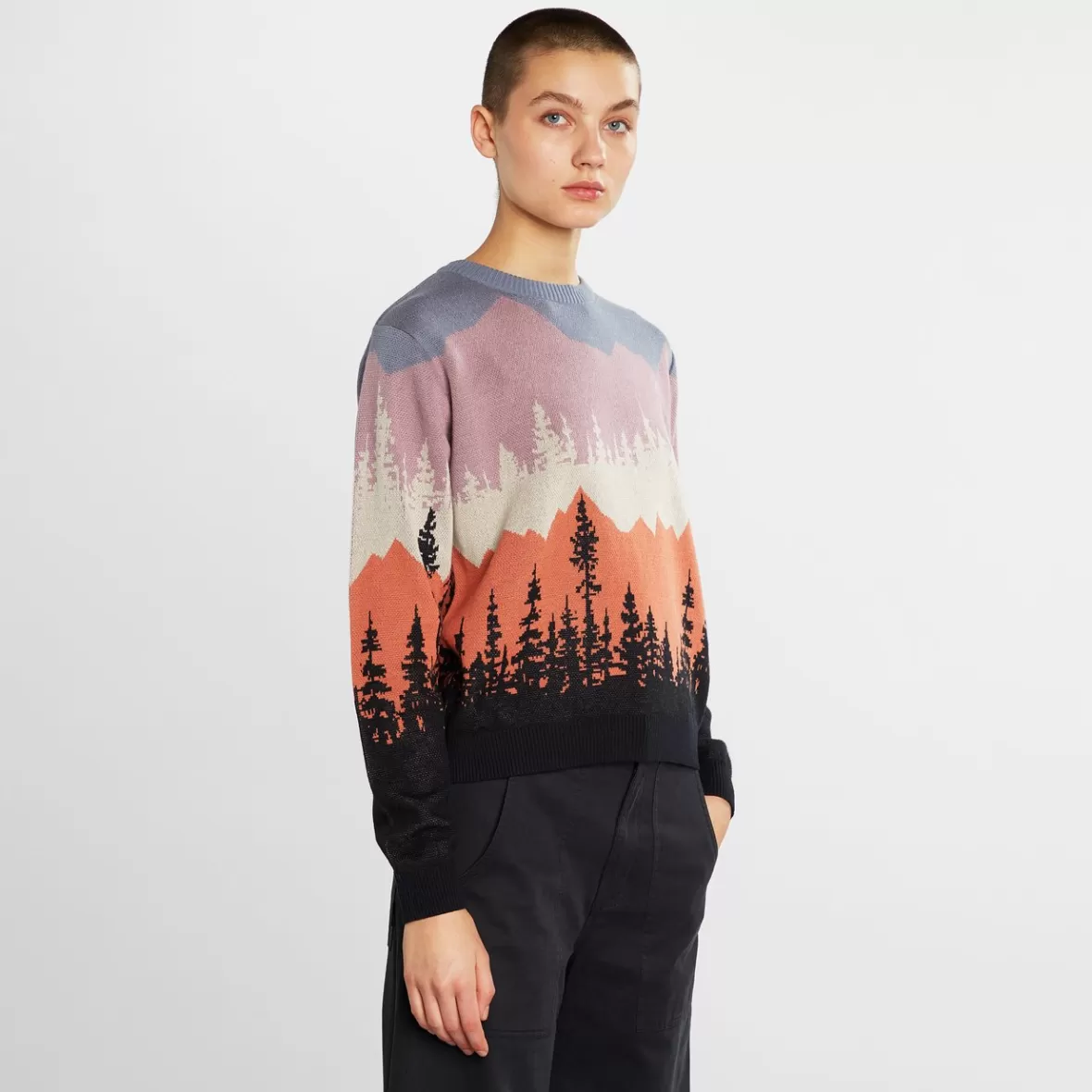 Knitwear | DEDICATED Sweater Arendal Landscape Multi Color