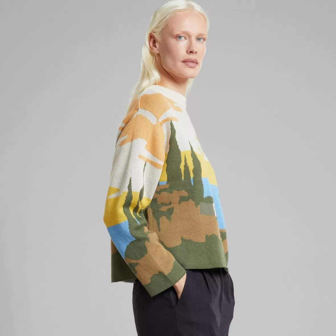Knitwear | DEDICATED Sweater Limhamn Oceanview Multi Color