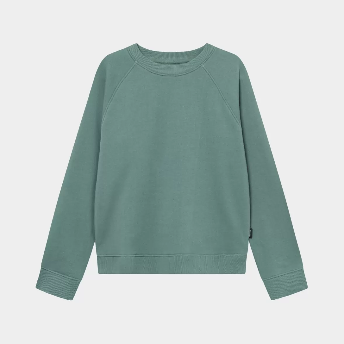 Basics | DEDICATED Sweatshirt Ystad Base Forest Green