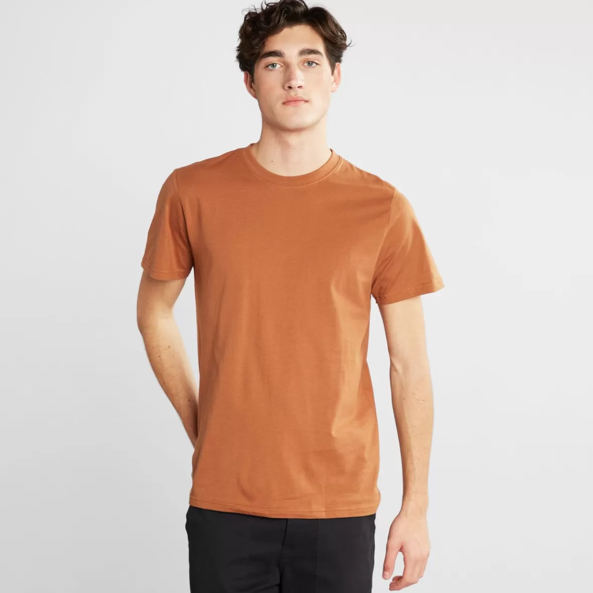 Basics | DEDICATED T-shirt Stockholm Base Rawhide Brown