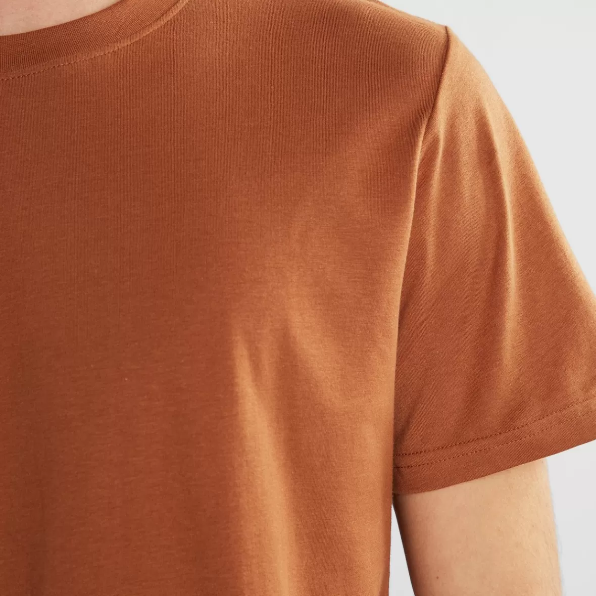 Basics | DEDICATED T-shirt Stockholm Base Rawhide Brown
