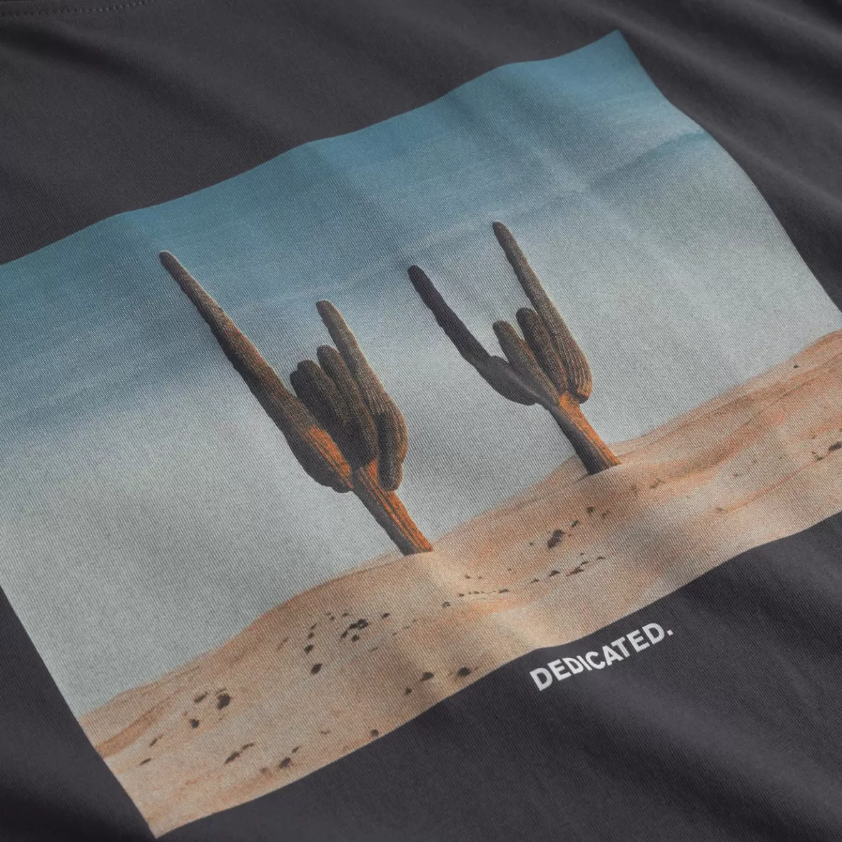 T-Shirts | DEDICATED T-shirt Stockholm Cactus Sign Charcoal